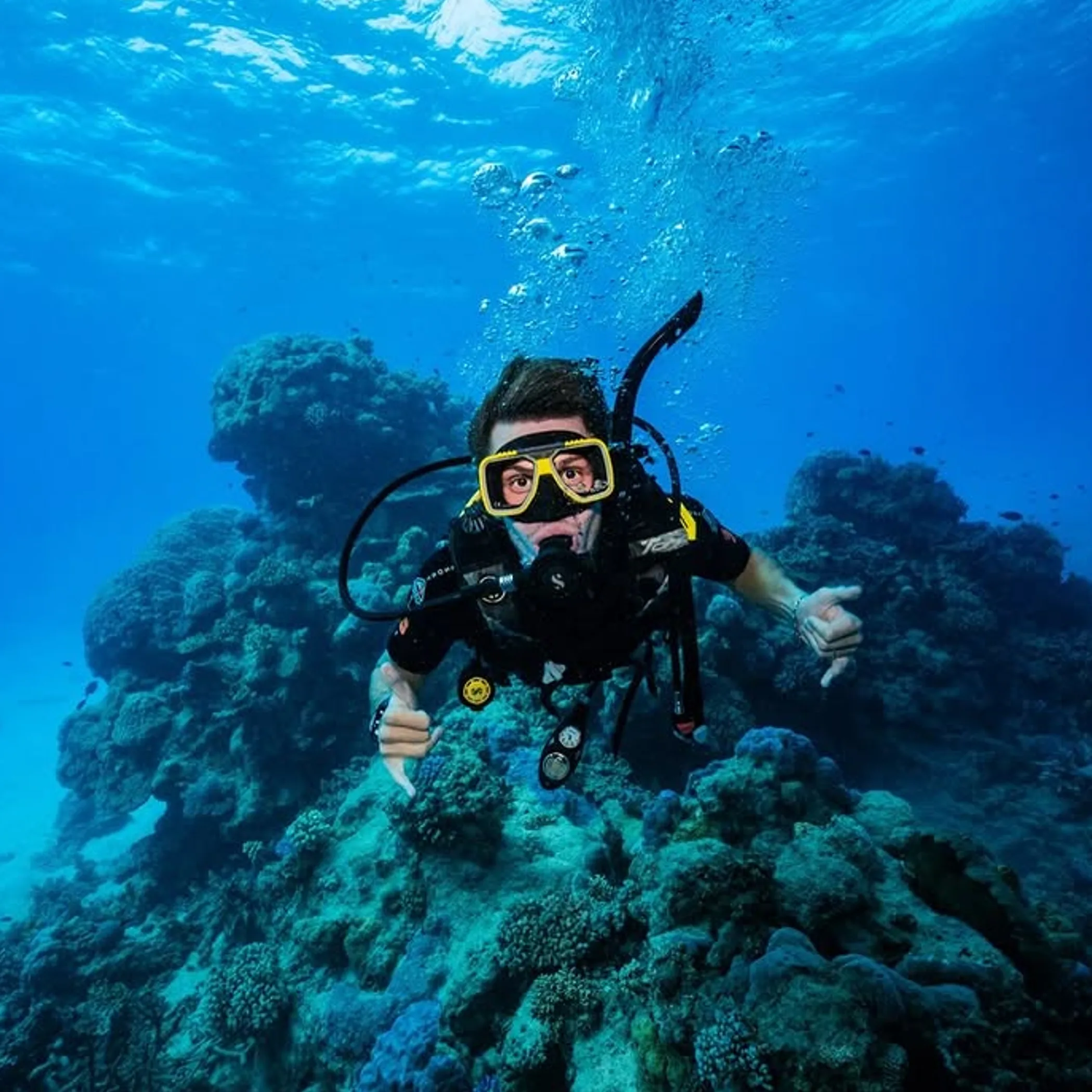 diver exploring clear reef waters